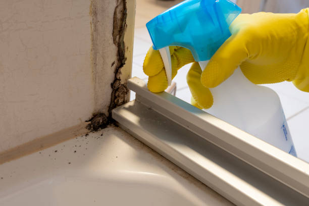 Barnsdall, OK Mold Remediation Company