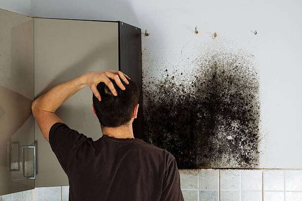 Best Bathroom Mold Remediation in Barnsdall, OK